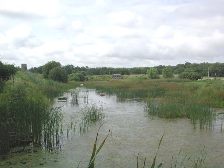 River at Dwyer Farm 1.jpg 49.5K